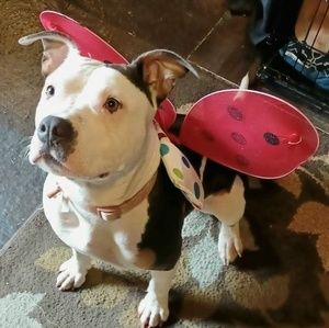 Meet your Posher, Terry